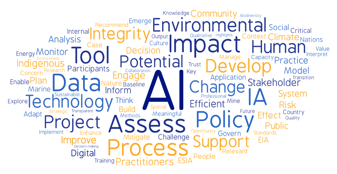 IAIA25 Word Cloud