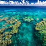 Aerial photo of tropical coral reef on Upolu island, Samoa