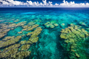 Aerial photo of tropical coral reef on Upolu island, Samoa