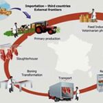 ENVIRONMENTAL RISK ASSESSMENT (ERA) IN THE FOOD CHAIN
