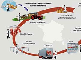 ENVIRONMENTAL RISK ASSESSMENT (ERA) IN THE FOOD CHAIN
