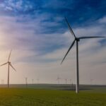 Photo of wind turbines in a field