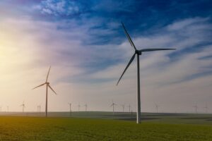 Photo of wind turbines in a field