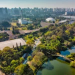 City skyline view highlighting urban green space