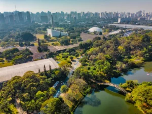 City skyline view highlighting urban green space