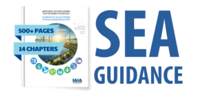 SEA Guidance