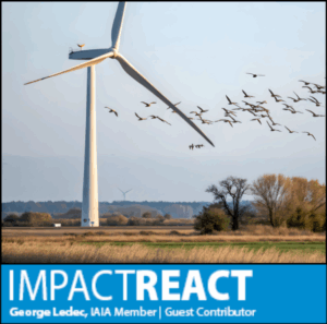 Migrating birds near wind turbines in open fields natural landscape scenic view wildlife conservation low carbon energy and biodiversity