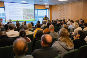 The Strategic Role of the Aragonese Walls