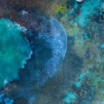 Aerial Photo of Temperate Coral Reef in Australia