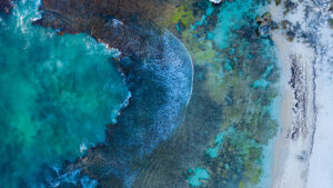 Aerial Photo of Temperate Coral Reef in Australia