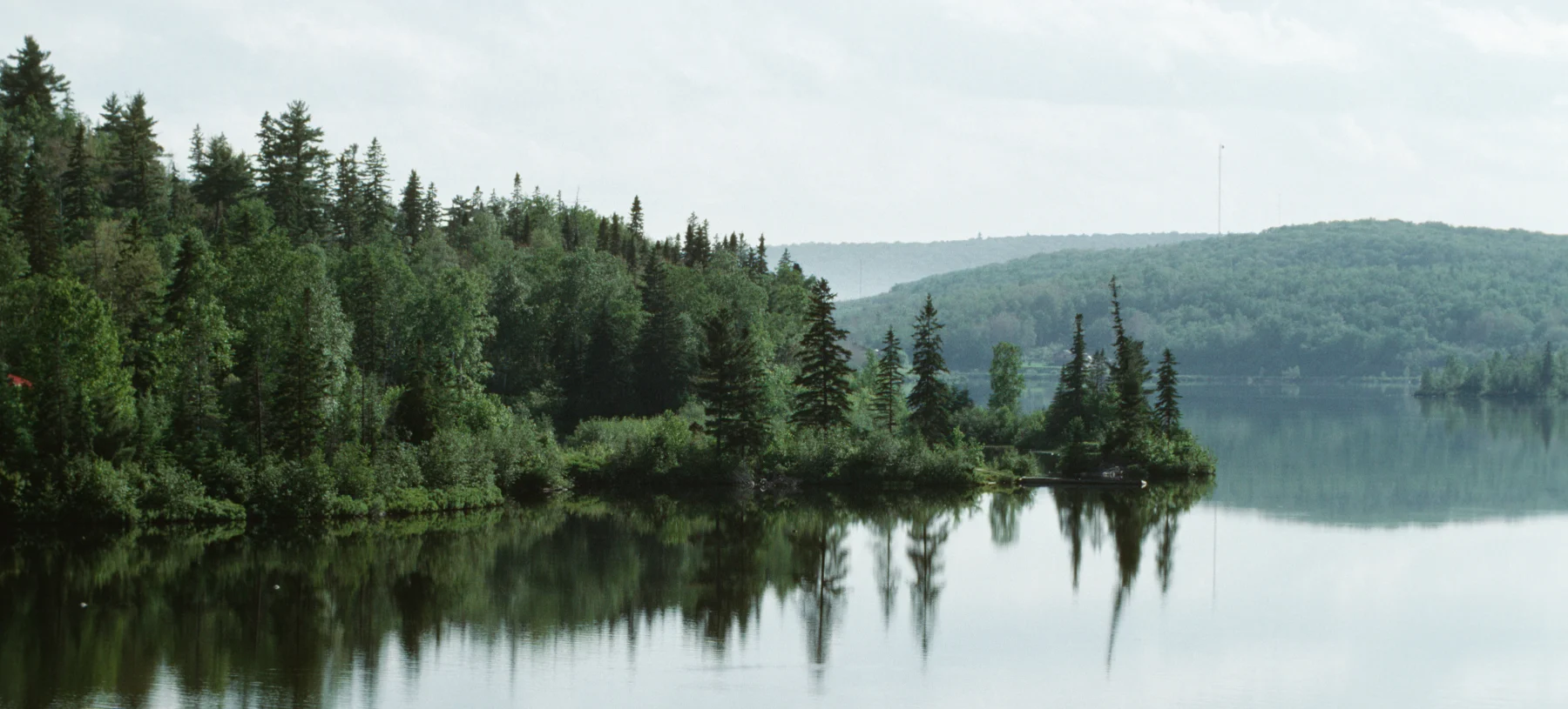 Forest by lake, Abitibi Temiscamingue, Quebec, Canada