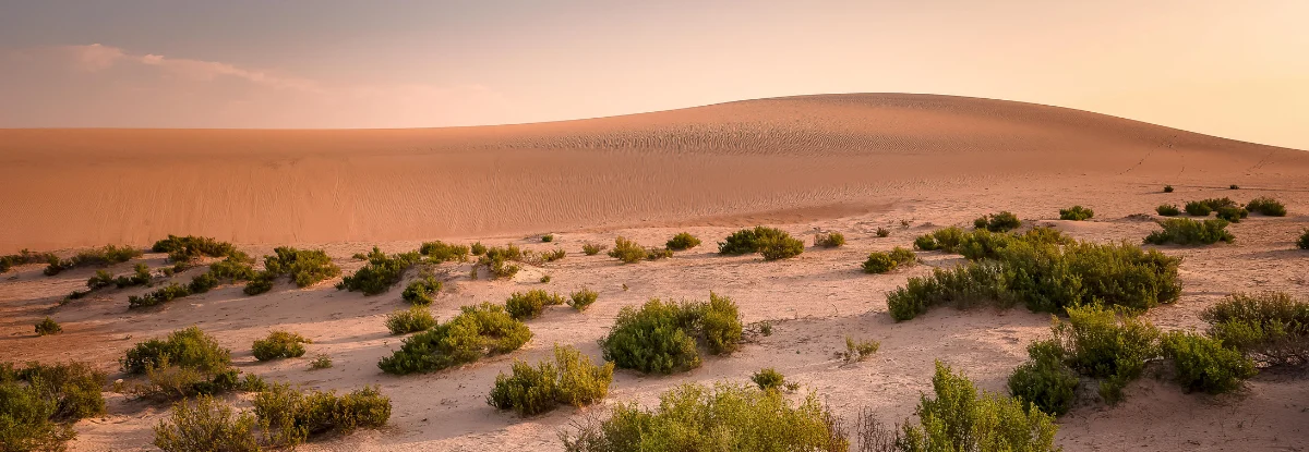 Sunrise in Dammam Saudi Arabia desert